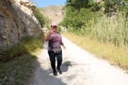 W2510536