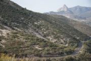 R2524396