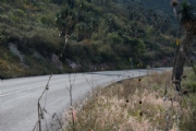 R2524493
