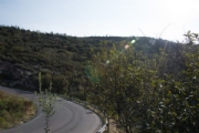 R2524615