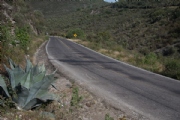 R2524634