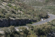 Y2524427