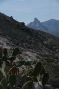 Y2525100