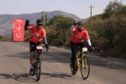 Y2514196