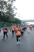 D2520146