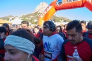 C2528220