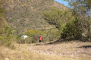 G2526733