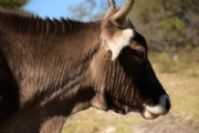 W2525881