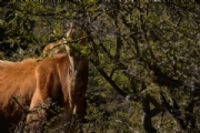 Y2526076