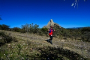 W2527276