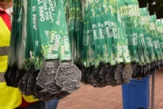 A2529061
