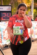 K2528868
