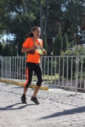 N2533166