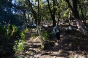 E2532793