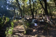 F2532744