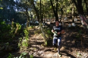 F2532835