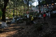 Y2532789