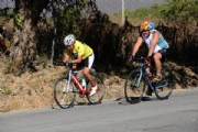 V2543523