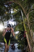 P2539274