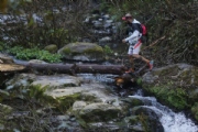 H2538520