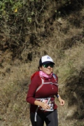 W2549268