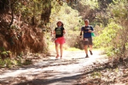 T2550266