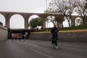 I2548104