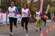 C2546494