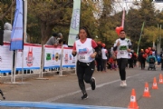 I2546311
