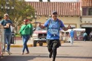 V2590993