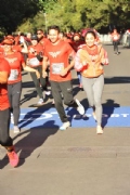 T2585377