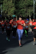 E2588833