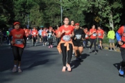 N2588204
