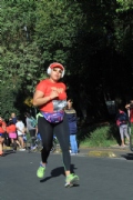 T2588282