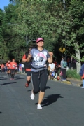 V2587993