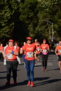 T2582088