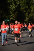 T2582302