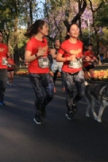 D2575340