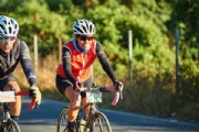 G2585113
