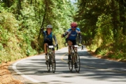 Q2584456