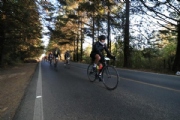 125km, 75km y 40km.