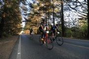 I2578042