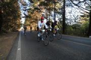 J2578914