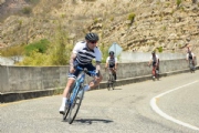 H2562831