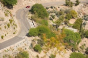 O2561799