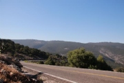 H2560980
