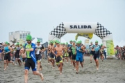 K2593284
