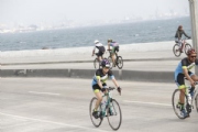 O2597331