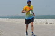 V2598241