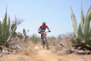 P2602776